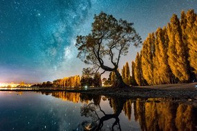 Εικόνα δέντρου κάτω από τον έναστρο ουρανό - 120x80