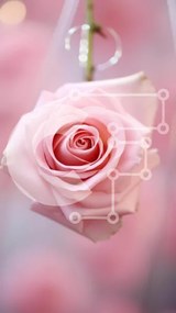 Σετ των 2 Intra Συλλεκτικό Ξύλινο Παζλ Plywood 4mm - Πλωτό ροζ τριαντάφυλλο με δαχτυλίδια Σε Ξύλινο Κουτί - Διαστάσεις: 10x10 cm – 25 κομμάτια