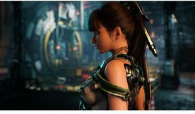 Βιντεοπαιχνίδι PlayStation 5 Sony Stellar Blade (FR)