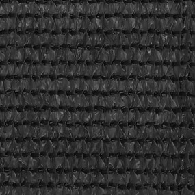 Διαχωριστικό Βεράντας Ανθρακί 75 x 500 εκ. από HDPE - Ανθρακί