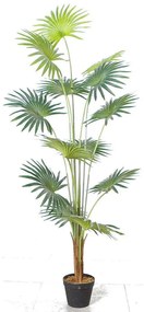 Τεχνητό Δέντρο Πιτσάρδια 5350-6 60x60x150cm Green Supergreens Polyethylene