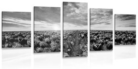 Εικόνα 5 μερών της ανατολής του ηλίου πάνω από ένα λιβάδι με τουλίπες σε μαύρο και άσπρο - 100x50