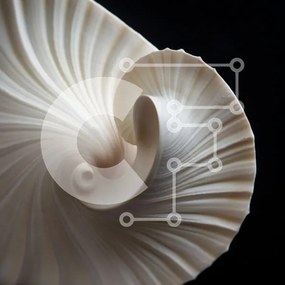 Intra Συλλεκτικό Ξύλινο Παζλ Plywood  4mm - Μυστηριώδες πλωτό κοχύλι Σε Ξύλινο Κουτί - Διαστάσεις: 10x10 cm – 25 κομμάτια