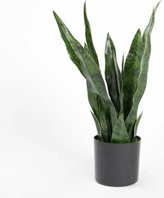 Supergreens Τεχνητό Φυτό Σανσεβιέρια Robusta Πράσινο 55 εκ