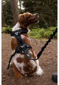 Λουρί Σκύλου SYMBIOZ Μαύρο S