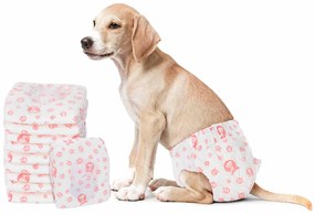 vidaXL Μίας χρήσης πάνα σκύλου θηλυκή 30 pcs Λευκό XS