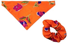 Σετ Μπαντάνα Σκύλου και Scrunchy 27x15 DES 005