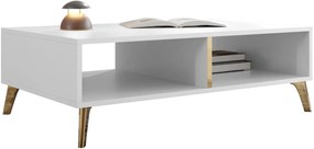 Τραπεζάκι σαλονιού Picru - 100.00Χ60.00Χ32.00cm