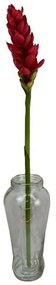 Τεχνητό Λουλούδι Τζίντζερ 2961-7 86cm Red Supergreens Πολυαιθυλένιο,Ύφασμα