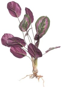 Supergreens Τεχνητή Χωνευτή Καλαθέα Roseopicta Πράσινη 61 εκ.