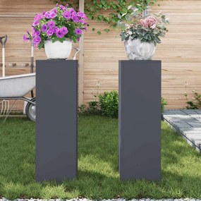 vidaXL Στήριξη φυτών 2 pcs Ανθρακί 24 x 24 x 75 εκ. Ατσάλι