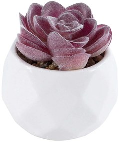 Τεχνητό Φυτό Σε Κασπώ Echeveria 21000 Φ7x7,5cm Purple-White GloboStar Πηλός,Πολυαιθυλένιο