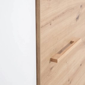 Ντουλάπα Lion τρίφυλλη