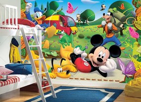 Φωτοταπετσαρία Mickey Mouse 10