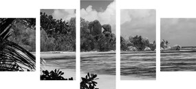 Παραλία με εικόνα 5 μερών στο νησί La Diguo σε ασπρόμαυρο