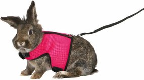 Λουρί Σκύλου Trixie