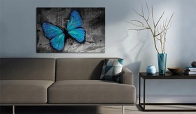 Πίνακας - The study of butterfly - 120x80