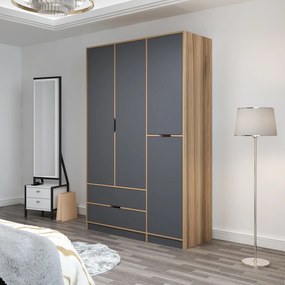 Τριφυλλη Ντουλαπα Ανθρακι/Χρυσο ELINA 52x140x208