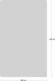 Carpet (100 x 160) World Map Multicolor