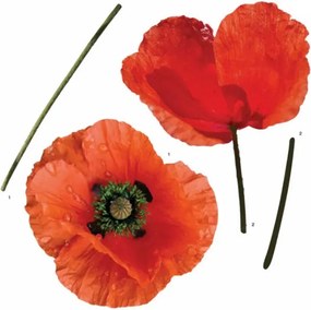 Αυτοκόλλητα Τοίχου Ango Poppies 54101
