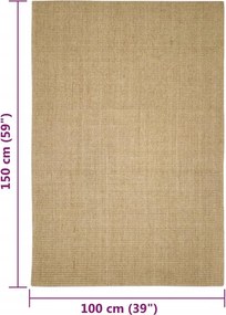 vidaXL Χαλί Σιζάλ για Ονυχοδρόμιο 100x150 εκ.