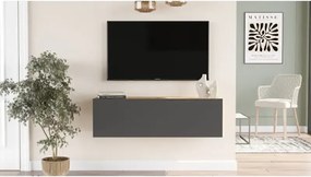 Stewehome Έπιπλο τηλεόρασης με ντουλάπι από πεύκο 100x32x29 cm