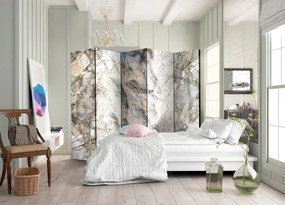 Διαχωριστικό με 5 τμήματα - Marble Mystery II [Room Dividers] 225x172