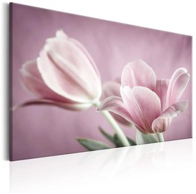 Πίνακας - Romantic Tulips 120x80