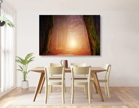 Εικόνα δάσους σε νεράιδα χρώματα - 90x60