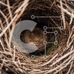 Intra Συλλεκτικό Ξύλινο Παζλ Plywood 4mm - Φωλιά πουλιών με σανό και χόρτα Σε Ξύλινο Κουτί - Διαστάσεις: 10x10 cm – 25 κομμάτια