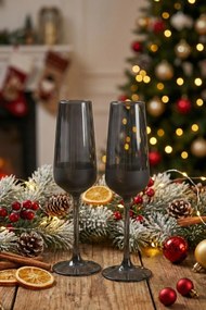 Champagne Glass Set (2 Pieces) TYRAKLE576 Fume