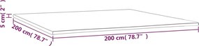 vidaXL Ανώστρωμα 200x200x5 εκ.