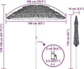 vidaXL Παράσολα Παραλίας Φυσικό 160 x 160 x 196 εκ