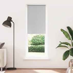 vidaXL Ρολέρ Μπλακάουτ ανοιχτό γκρι 65x230 cm Πλάτος υφάσματος 60,7cm