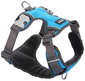 Λουρί Σκύλου Red Dingo Γεμισμένο Turquoise L