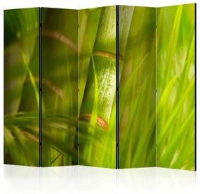 Διαχωριστικό με 5 τμήματα - bamboo - nature zen II [Room Dividers]