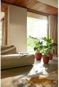 Βάζο Λουλουδιών Elho