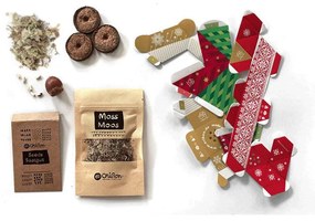 Φυτό Σε Γλαστράκι Urban Jungle Kit-Christmas Edition (Σετ 3Τμχ) 3021 Multi OriBon Paper