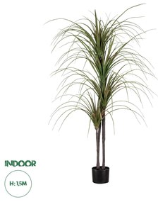 GloboStar® Artificial Garden DRAGON BLOOD TREE 20015 Τεχνητό Διακοσμητικό Φυτό Δράκαινα Υ150cm