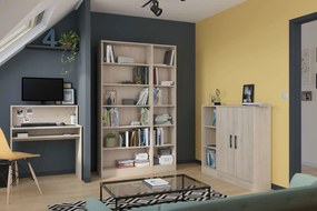 Βιβλιοθήκη Mayer-Fusiko