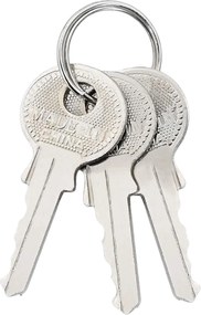 vidaXL Κλειδαριά U με Κλειδιά 2 pcs Ορείχαλκος Σίδερο