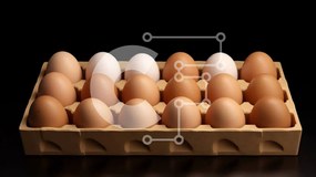 Σετ των 2 Intra Συλλεκτικό Ξύλινο Παζλ Plywood 4mm - Κουτί αυγών με καφέ και λευκά αυγά Σε Ξύλινο Κουτί - Διαστάσεις: 10x10 cm – 25 κομμάτια