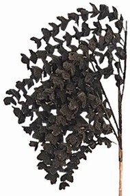 Κλαδί Με Λουλούδια Μαύρο Glitter Art Et Lumiere 90εκ. 09652