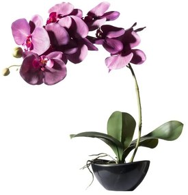Supergreens Τεχνητό Φυτό Ορχιδέα Phalaenopsis Real Touch Μωβ με Κασπώ 48 εκ.