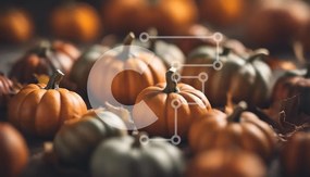 Intra Συλλεκτικό Ξύλινο Παζλ Plywood 4mm - Επίδειξη κολοκύθας φθινοπώρου Σε Ξύλινο Κουτί - Διαστάσεις: 10x10 cm – 25 κομμάτια