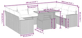 vidaXL Σαλόνι Κήπου Σετ 10 Τεμαχίων Μαύρο Συνθετικό Ρατάν με Μαξιλάρια