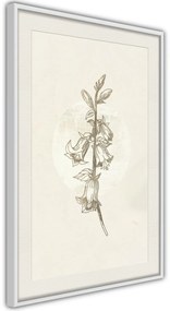 Αφίσα - Beige Campanula - 30x45 - Χρυσό - Χωρίς πασπαρτού