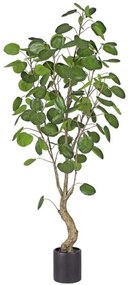 Τεχνητό Δέντρο Money Pocket 029867 180cm Green Πολυαιθυλένιο