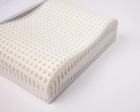 Ανατομικό Μαξιλάρι Ύπνου Felicita 60x40x11,5-10 Armonia Style