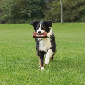 Παιχνίδια για Σκύλους Trixie